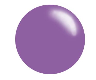 #254 Stormy Heather | Clear Jelly Stamping Polish