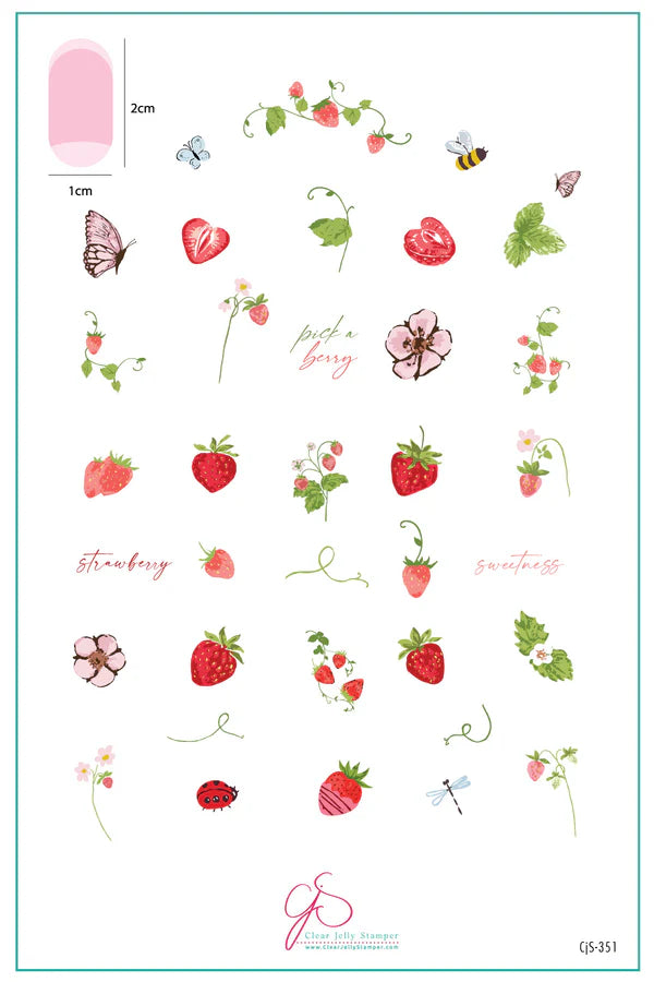 CjS-351 - Strawberry Sweetness | Clear Jelly Stamping Plate