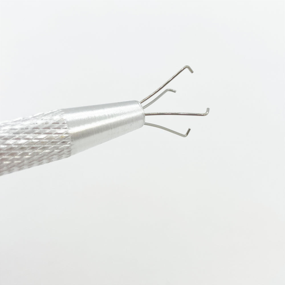 
                  
                    Gradient Sponges Assorted | Lula Beauty
                  
                