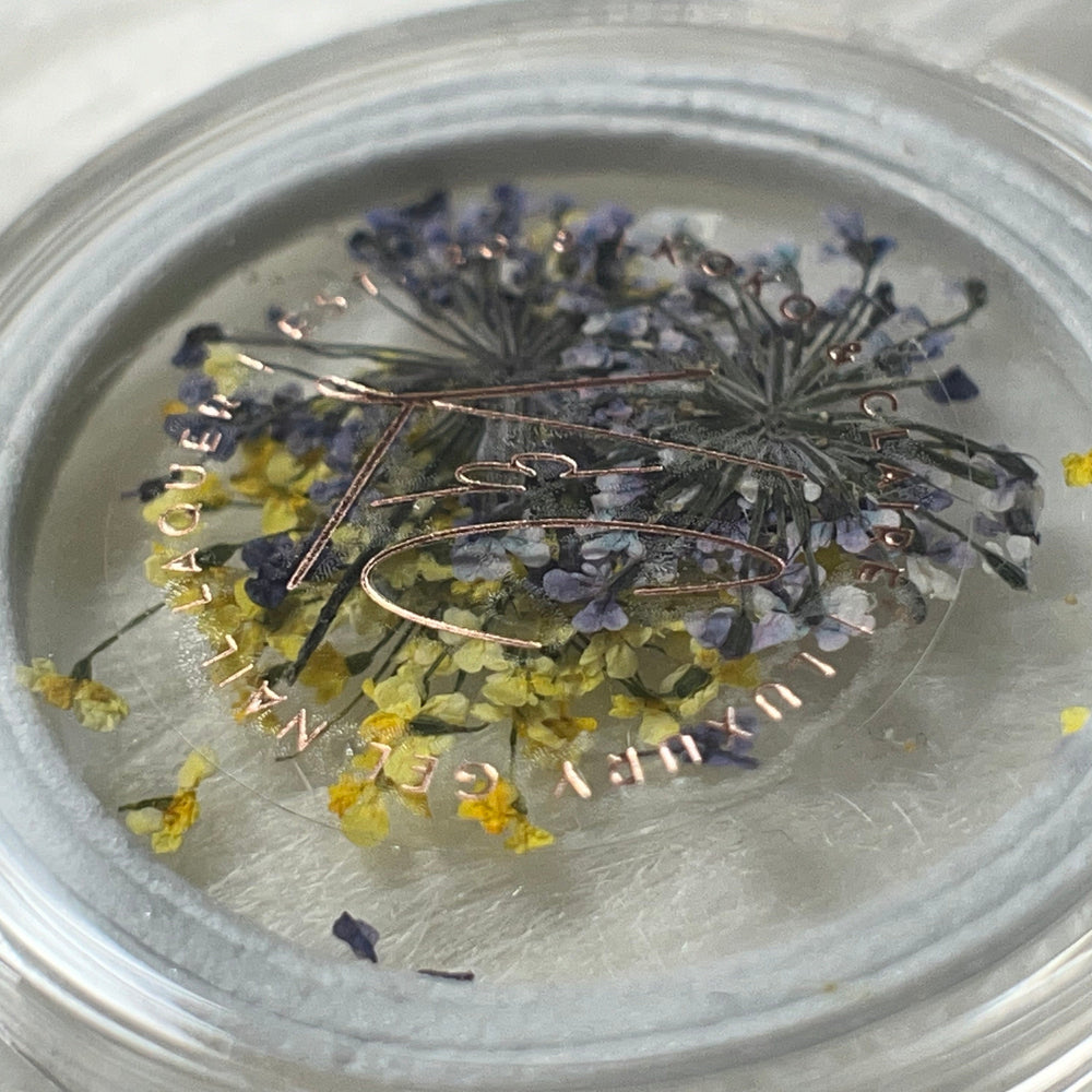 
                  
                    Dried Flowers - 6 colors to choose from | Koko & Claire
                  
                